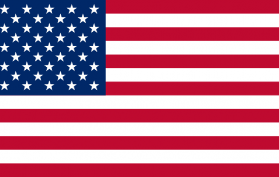 Dollar U.S.A Flag